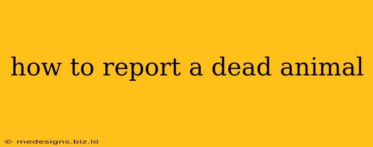 how to report a dead animal