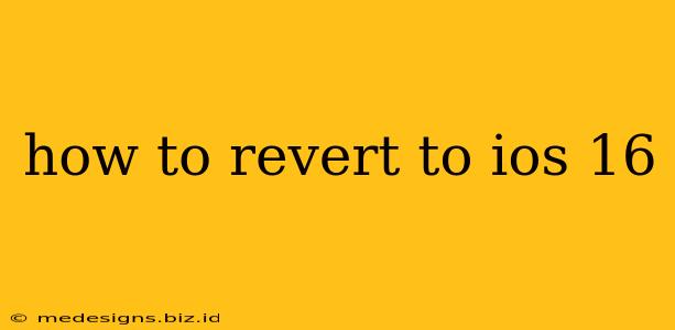 how to revert to ios 16
