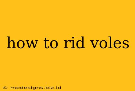 how to rid voles