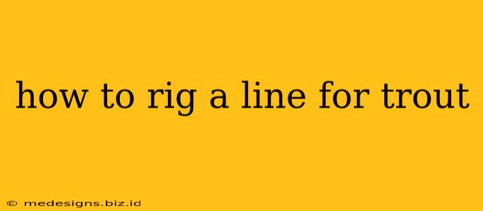 how to rig a line for trout