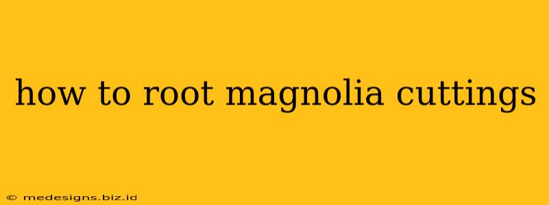 how to root magnolia cuttings