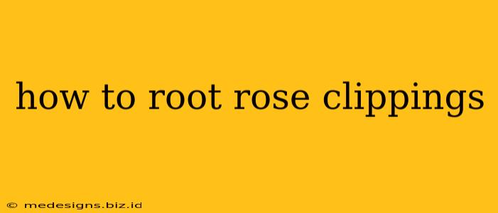 how to root rose clippings