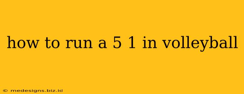how to run a 5 1 in volleyball