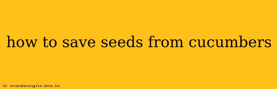 how to save seeds from cucumbers