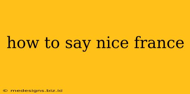 how to say nice france