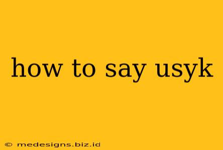 how to say usyk