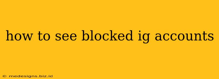 how to see blocked ig accounts