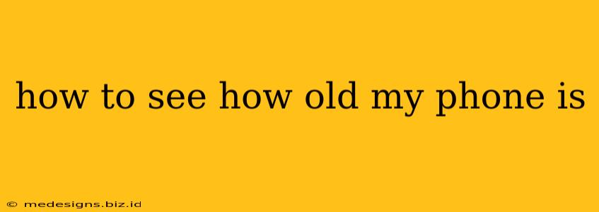 how to see how old my phone is