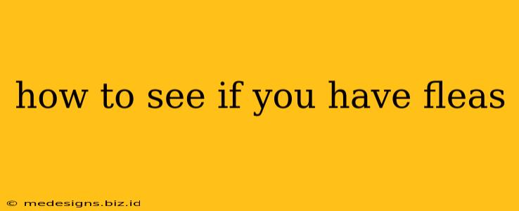 how to see if you have fleas