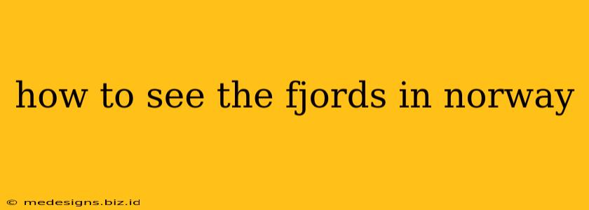 how to see the fjords in norway