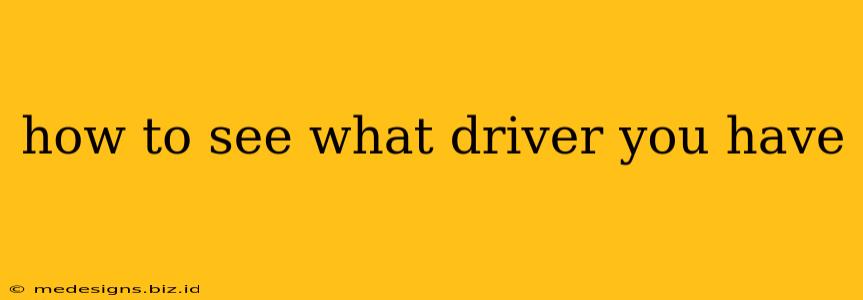 how to see what driver you have