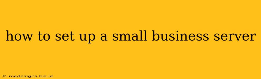 how to set up a small business server