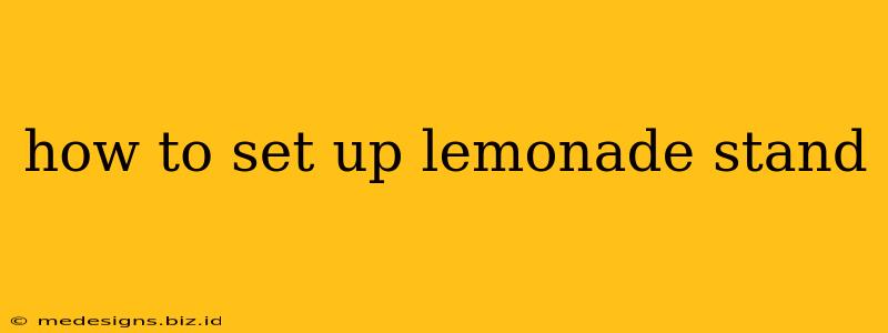 how to set up lemonade stand