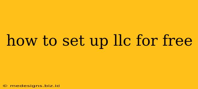 how to set up llc for free