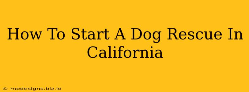 How To Start A Dog Rescue In California