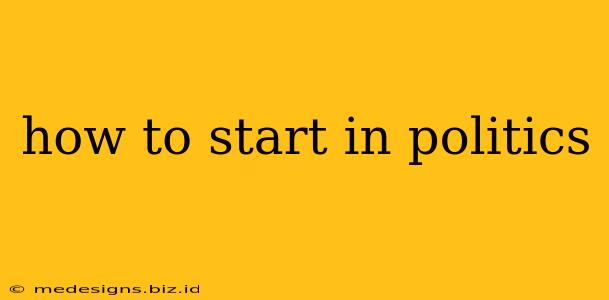 how to start in politics