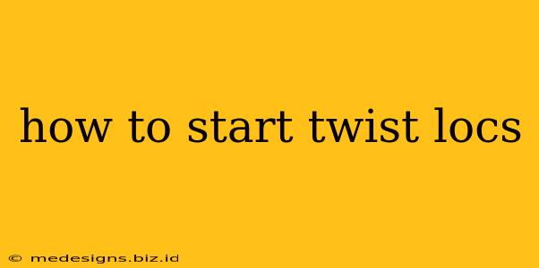 how to start twist locs