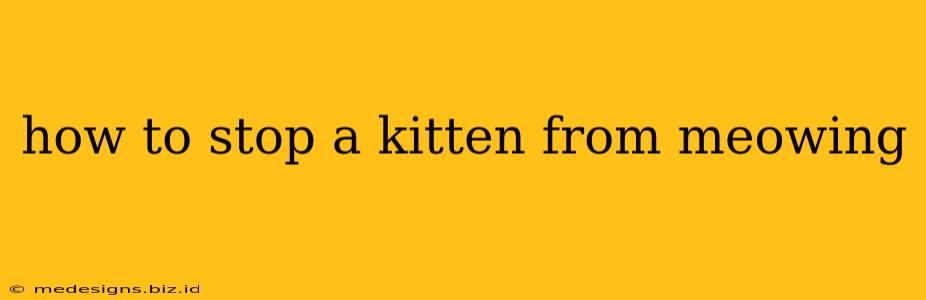 how to stop a kitten from meowing