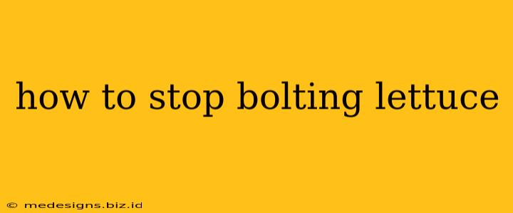how to stop bolting lettuce
