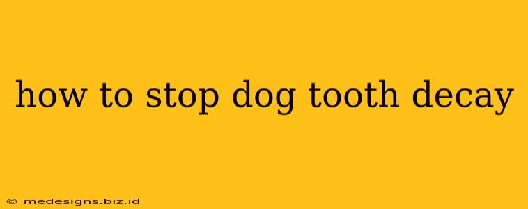 how to stop dog tooth decay