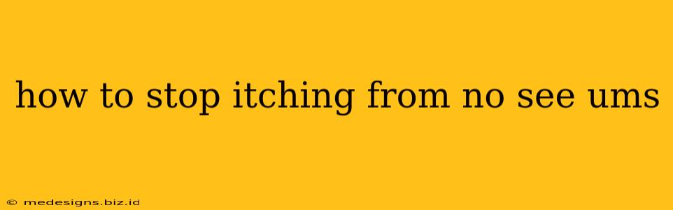how to stop itching from no see ums