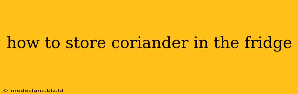 how to store coriander in the fridge