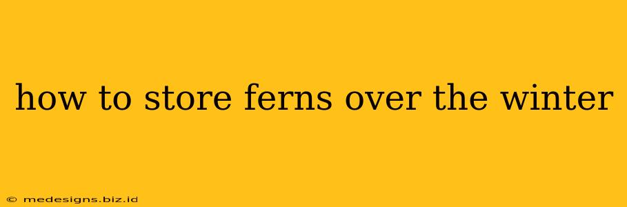 how to store ferns over the winter