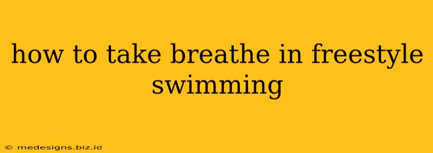 how to take breathe in freestyle swimming