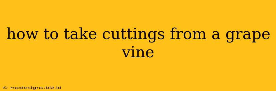 how to take cuttings from a grape vine