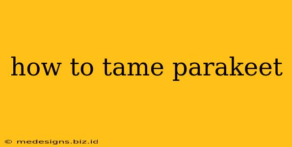 how to tame parakeet