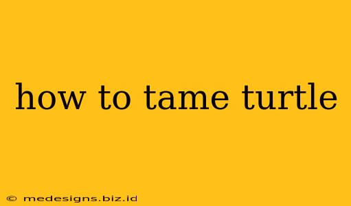 how to tame turtle