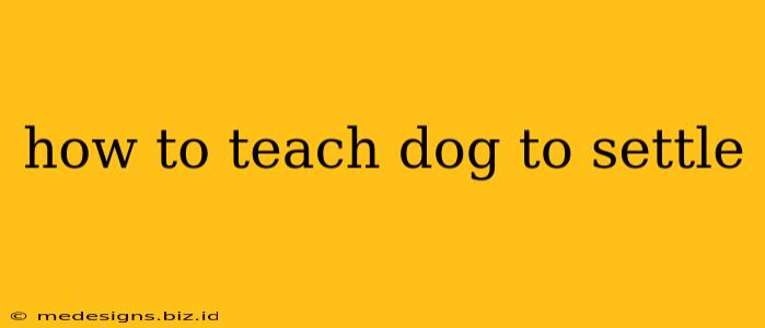 how to teach dog to settle