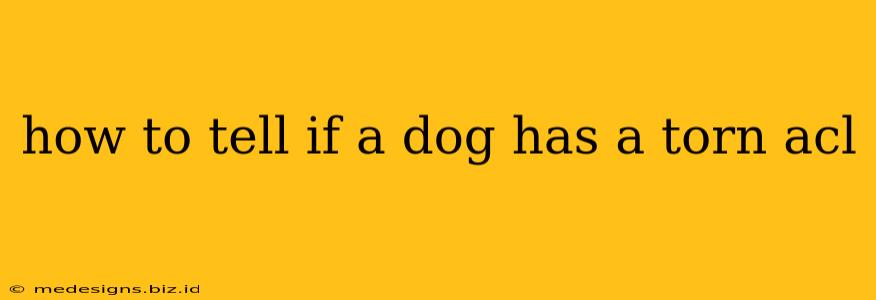 how to tell if a dog has a torn acl