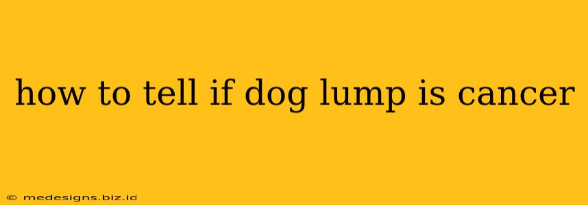 how to tell if dog lump is cancer