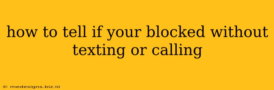 how to tell if your blocked without texting or calling