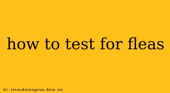 how to test for fleas