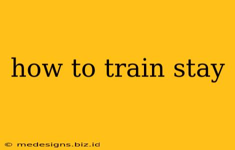how to train stay