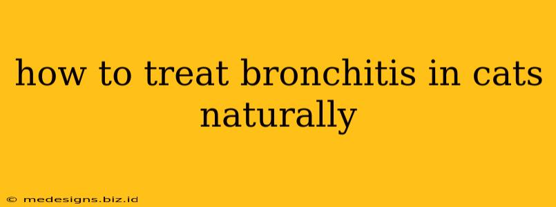 how to treat bronchitis in cats naturally