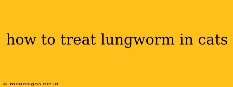 how to treat lungworm in cats