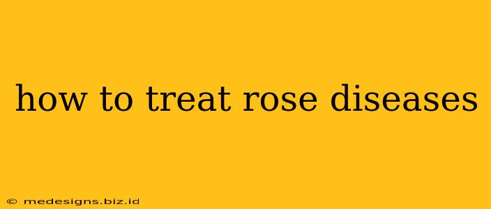 how to treat rose diseases