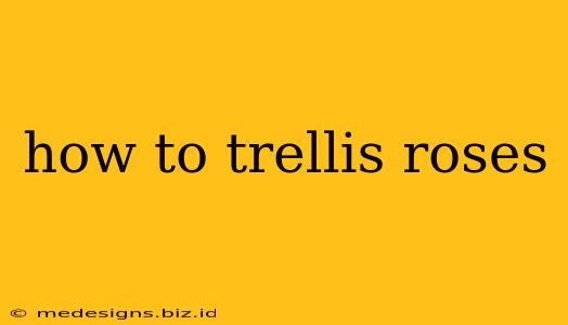 how to trellis roses