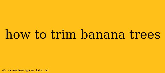 how to trim banana trees