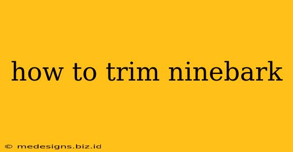 how to trim ninebark