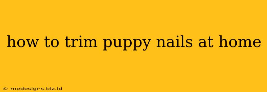 how to trim puppy nails at home
