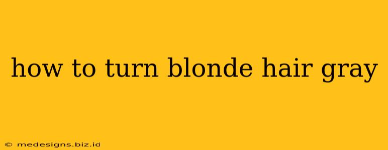 how to turn blonde hair gray