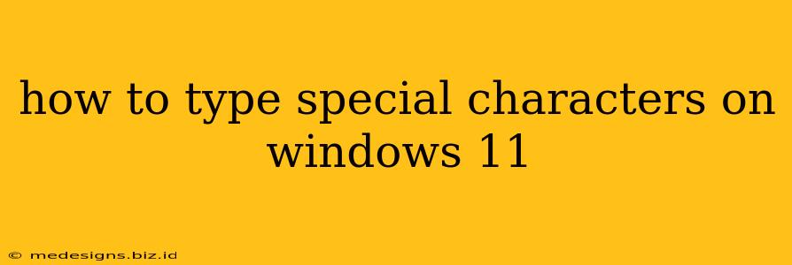 how to type special characters on windows 11