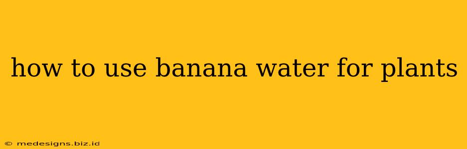 how to use banana water for plants