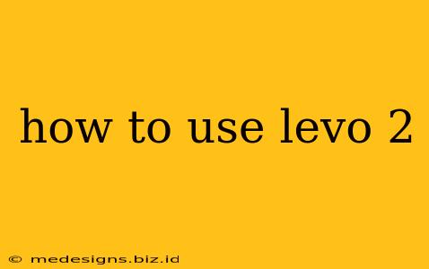 how to use levo 2