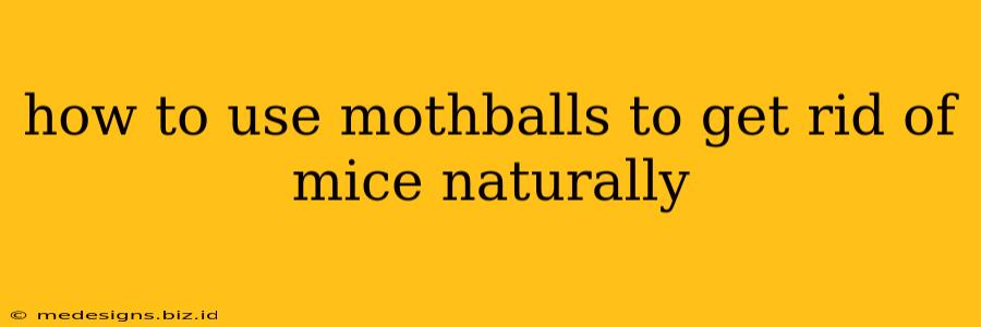 how to use mothballs to get rid of mice naturally