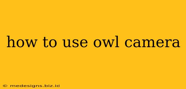 how to use owl camera